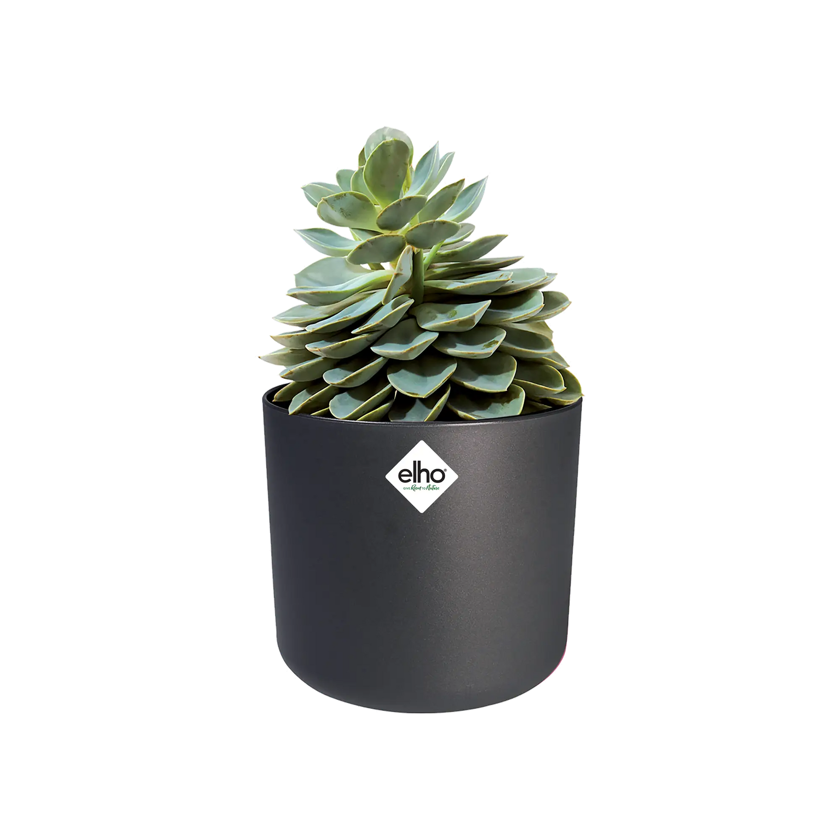 Ronde anthracietkleurige plantenpot met succulenten en Elho-logo op voorkant