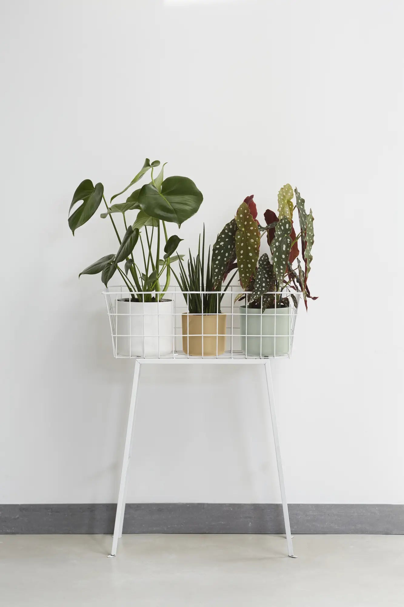 Elho b.for soft plantenpot op wit rek, zand/goudkleurige pot met planten