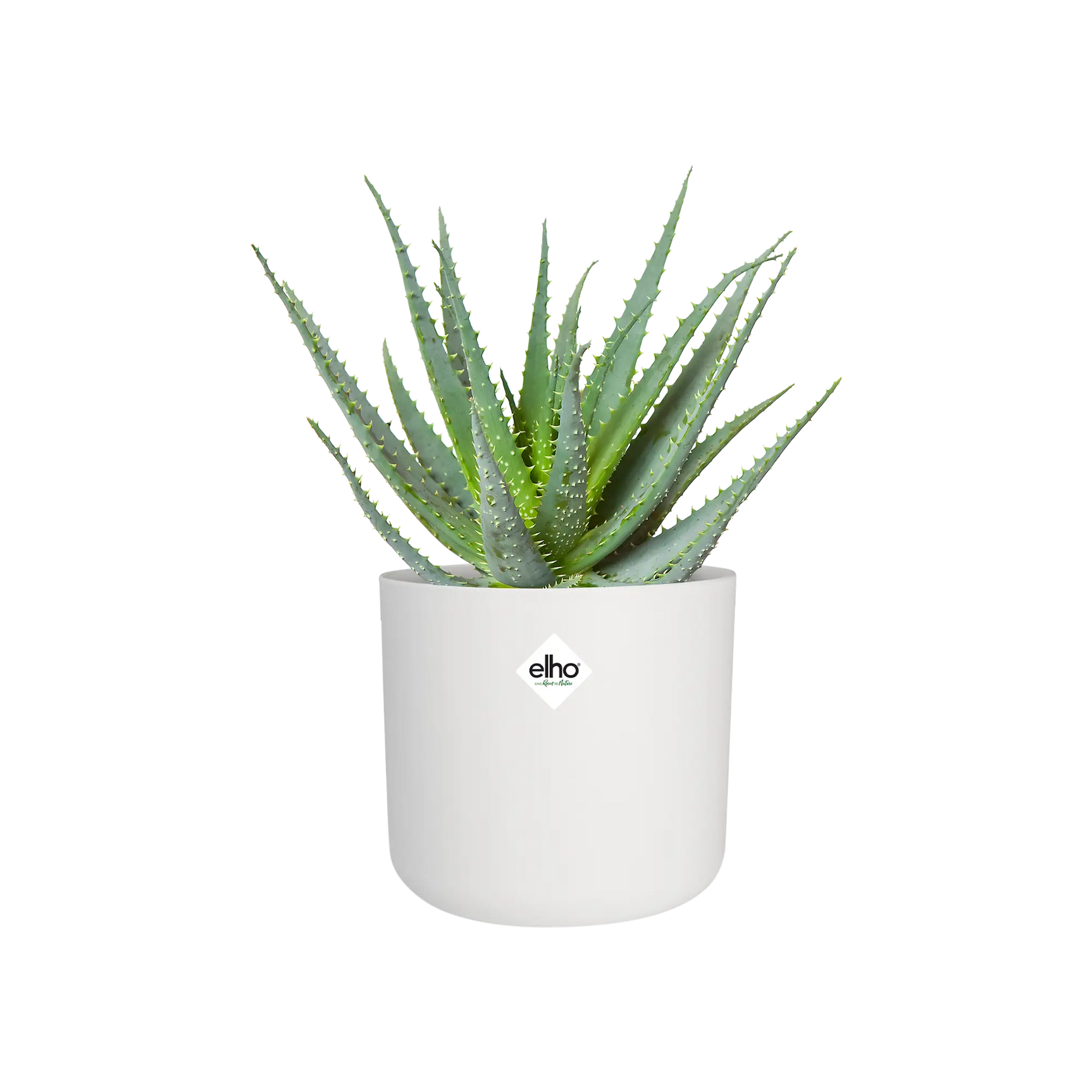 Witte ronde plantenpot met elho-logo, met groene vetplant in de pot