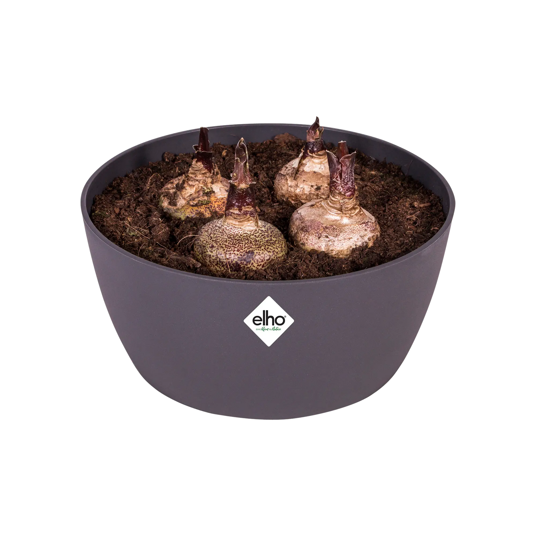 Elho Brussels plantenbak 23 cm met decoratieve bolletjes en aarde
