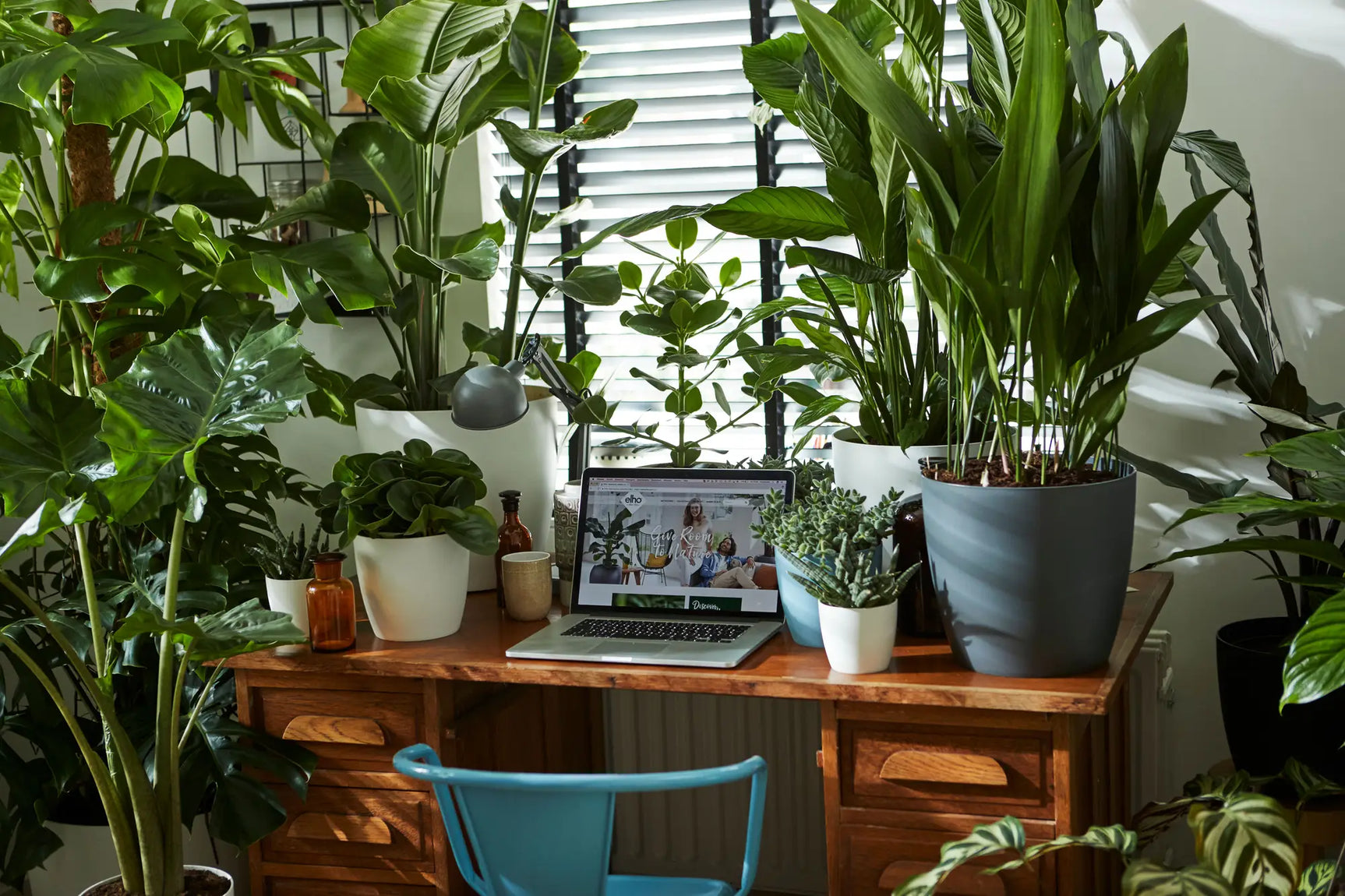 Groepsopstelling met ronde plantenpotten, waaronder een witte pot