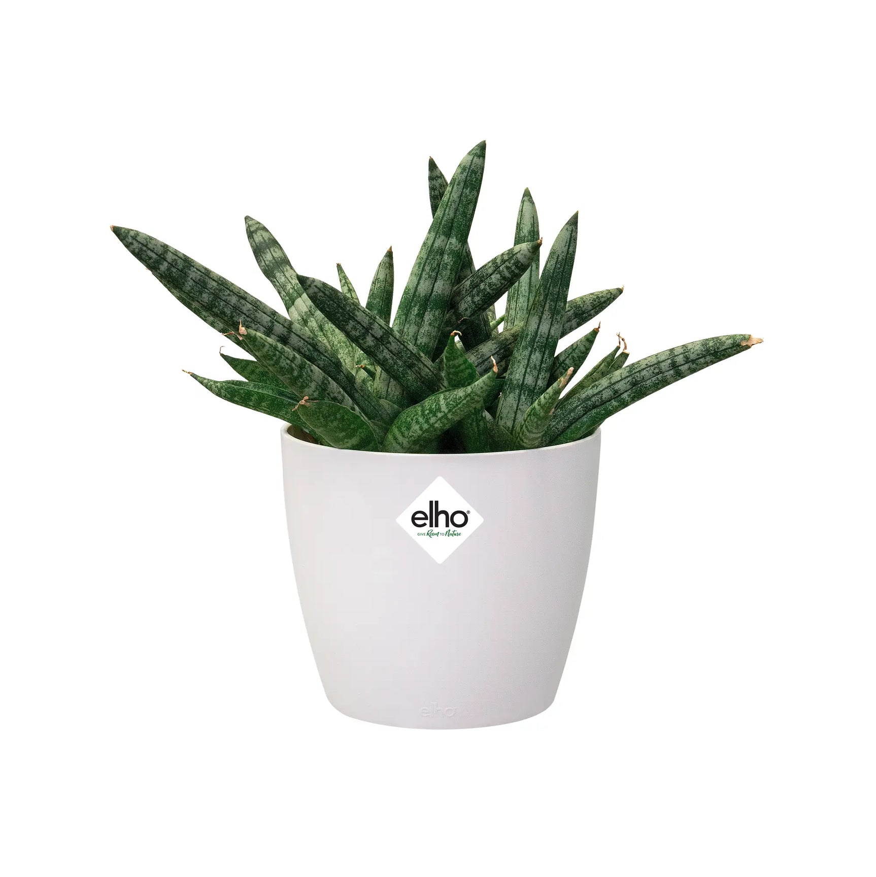 Witte Elho brussels mini ronde bloempot met groene plantbladeren