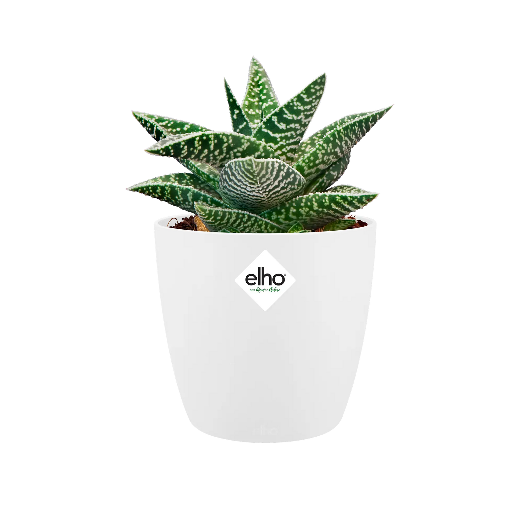 Elho - brussels round mini 12,5cm white