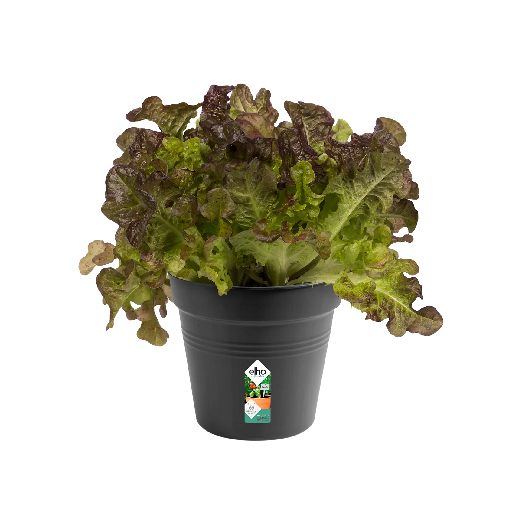 Elho - gb growpot 15cm living black
