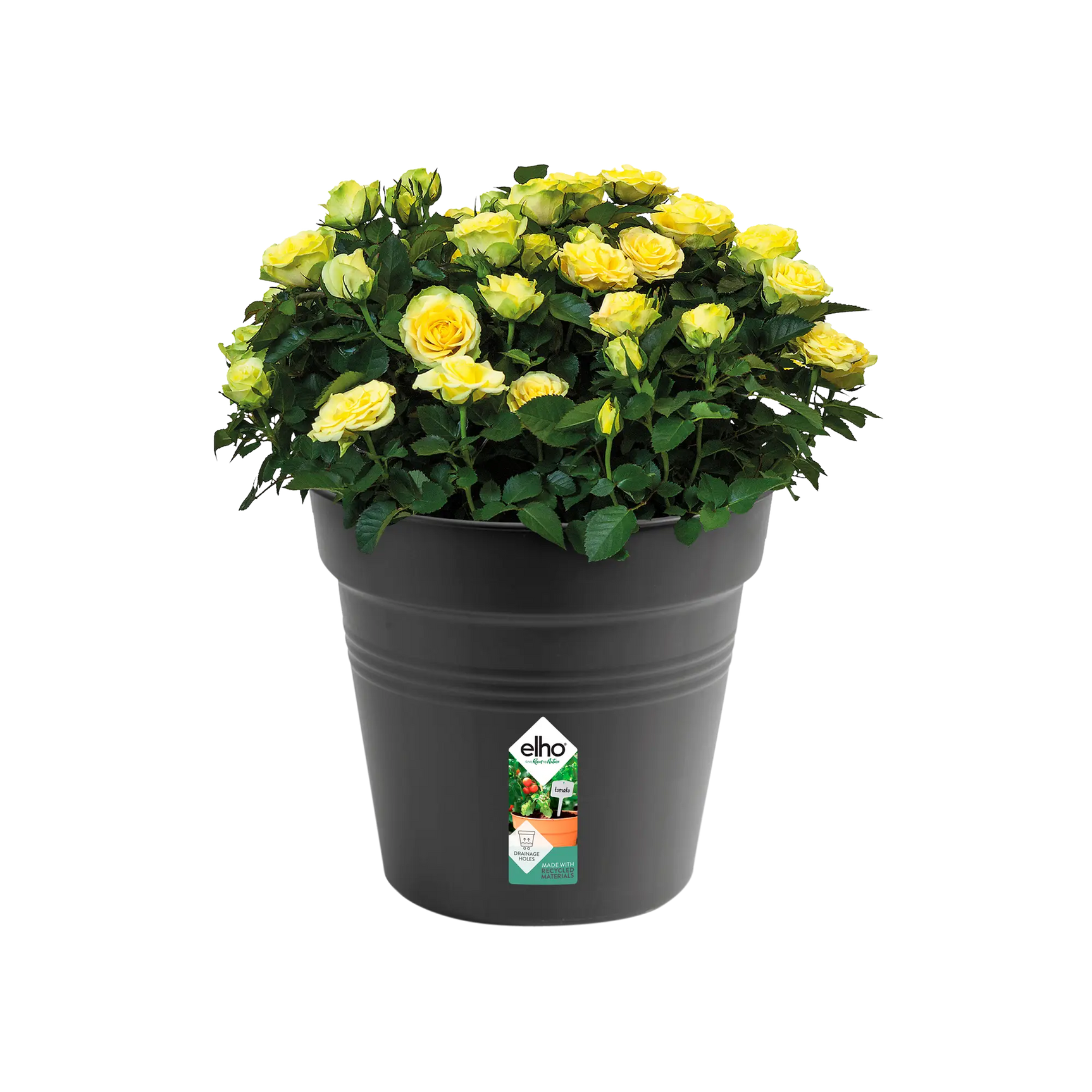 Elho plantenpot 40 cm, zwart kunststof met gele bloemen en groene bladeren
