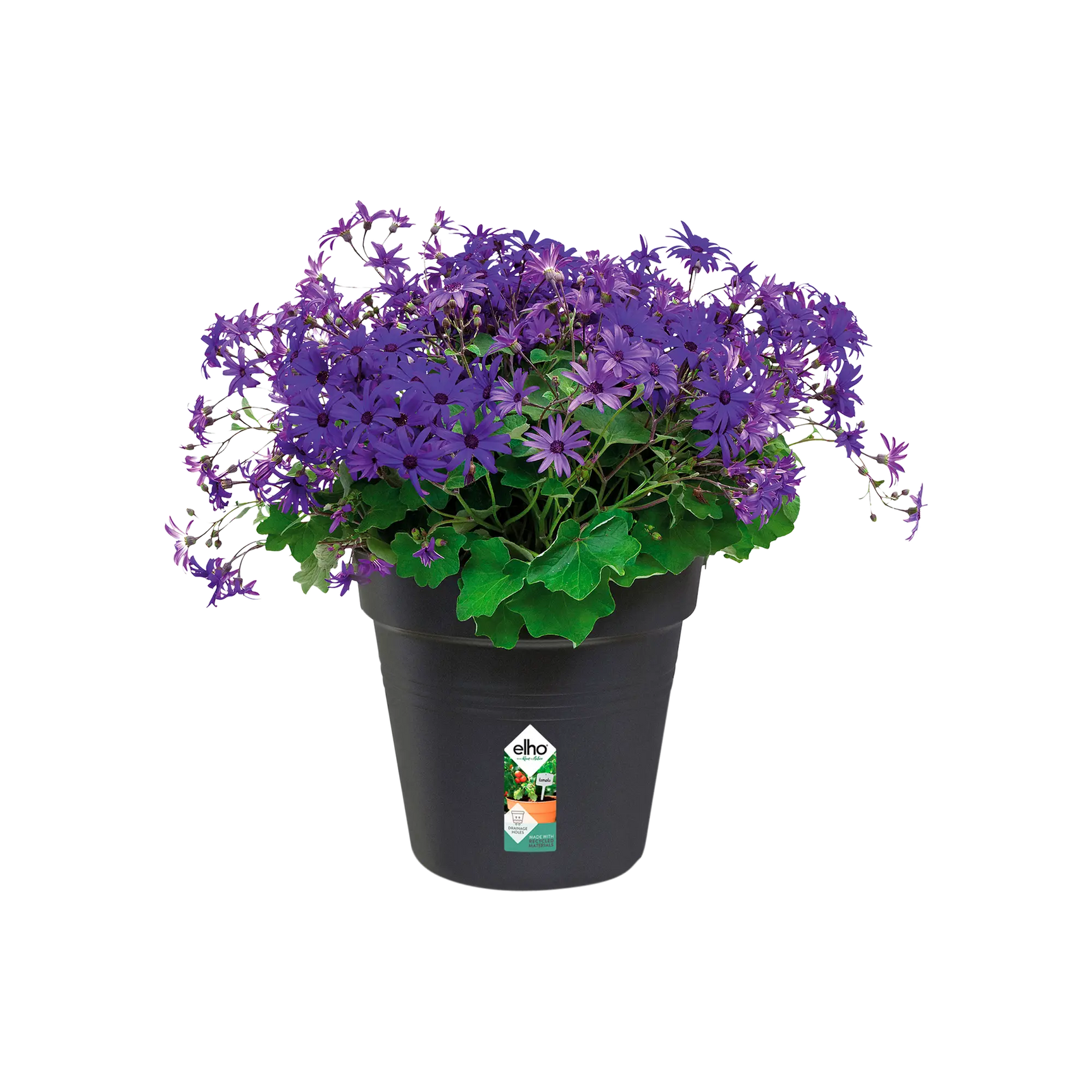 Elho - gb growpot 27cm living black