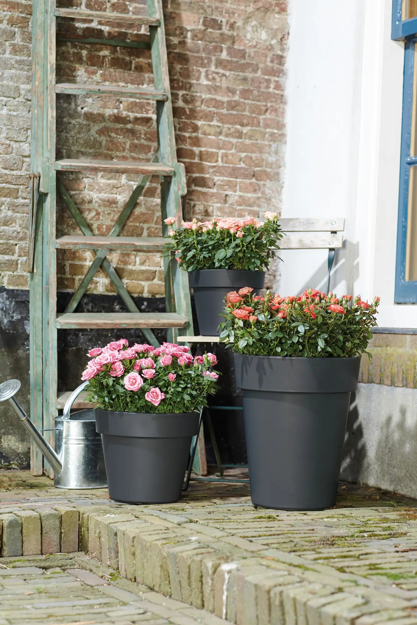 Elho - green basics top planter 23cm living black