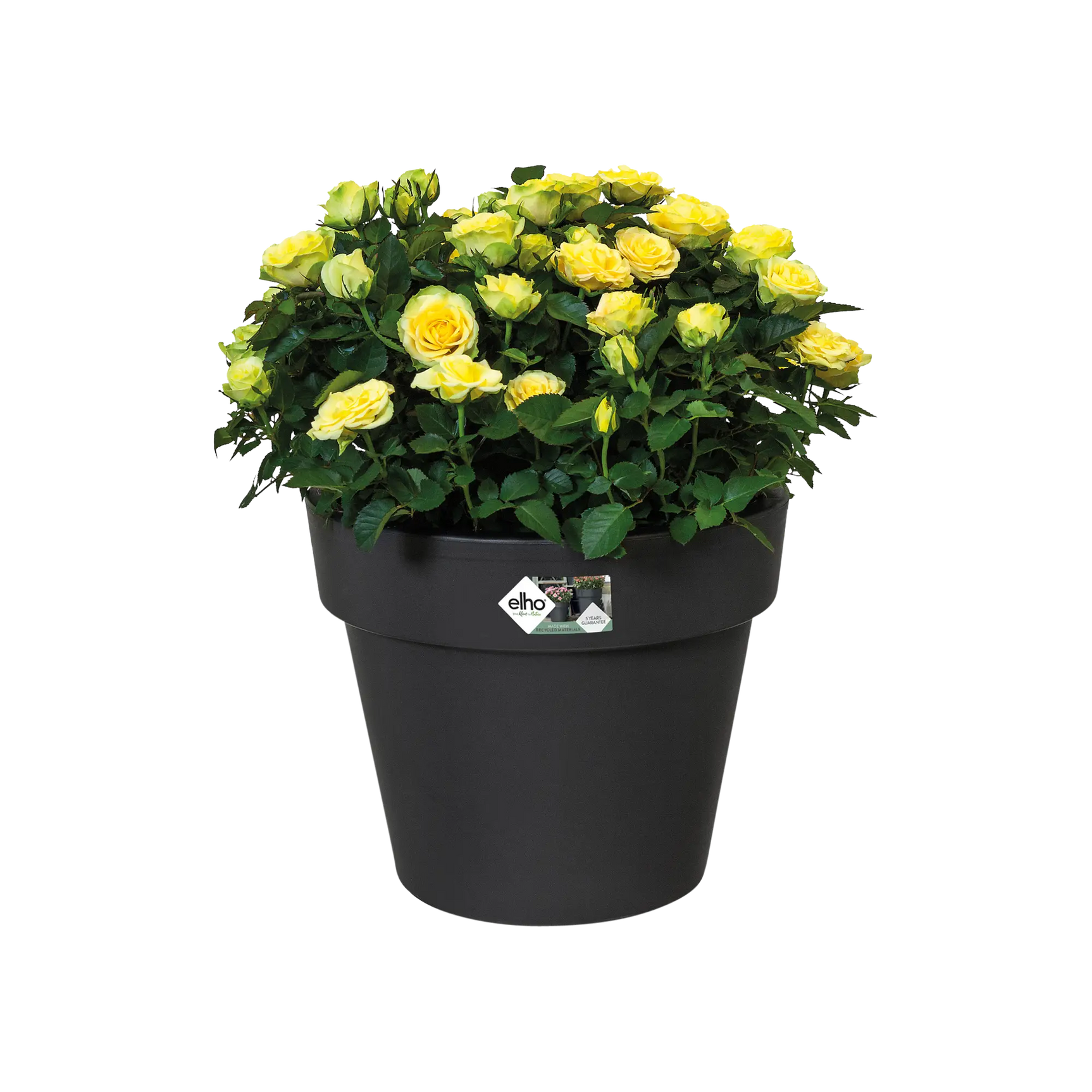 Elho - green basics top planter 23cm living black