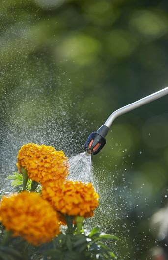 Spuitmond van Gardena drukspuit die waternevel spuit op bloemen