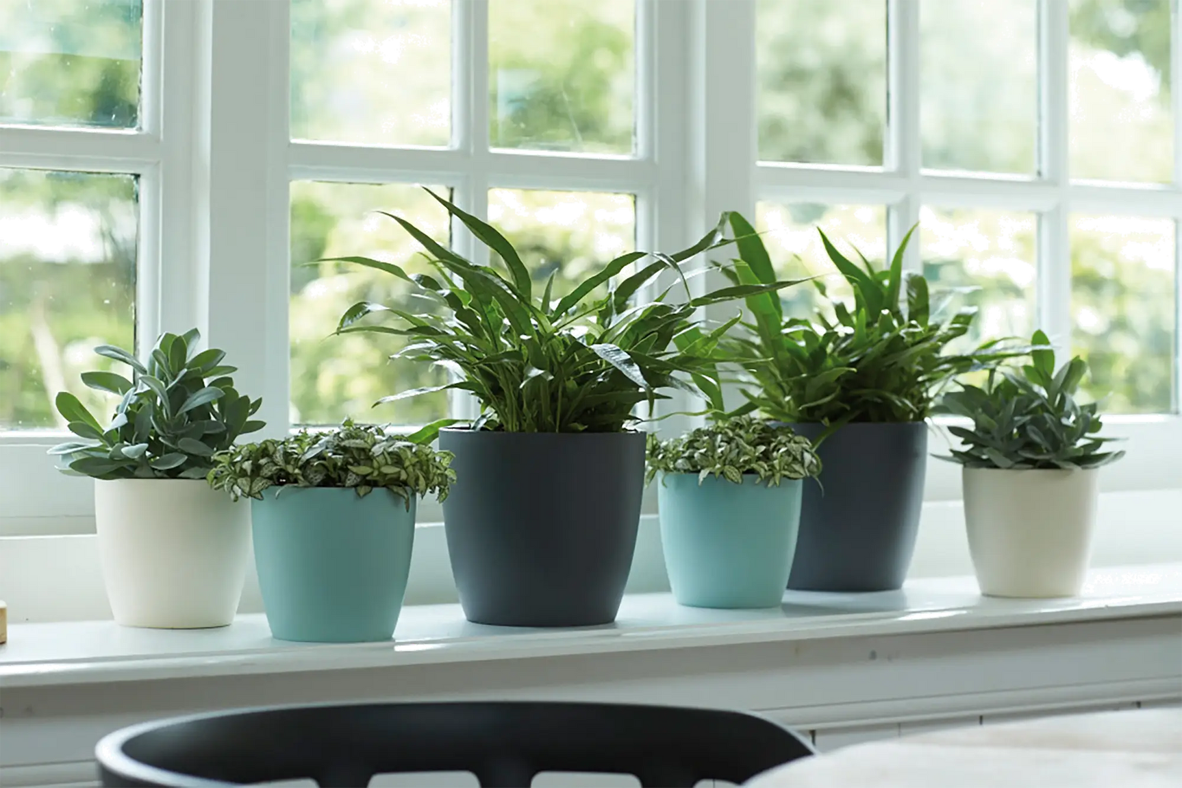 Rij ronde bloempotten, waaronder een witte