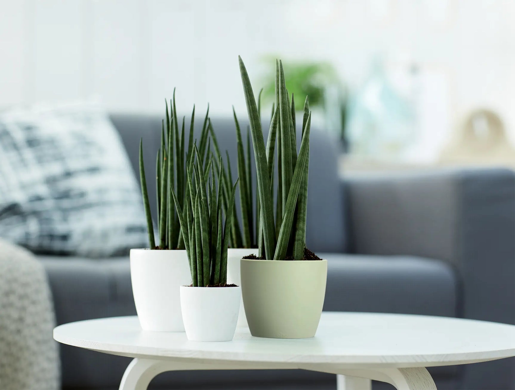 Elho - brussels rond 18cm sorbet groen