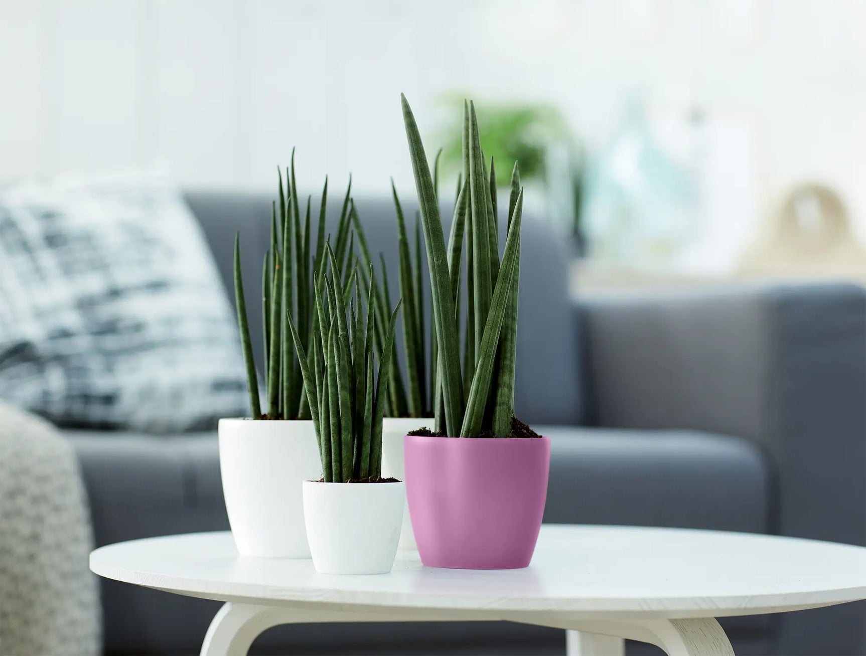 Elho - brussels rond mini 10,5cm vivid violet