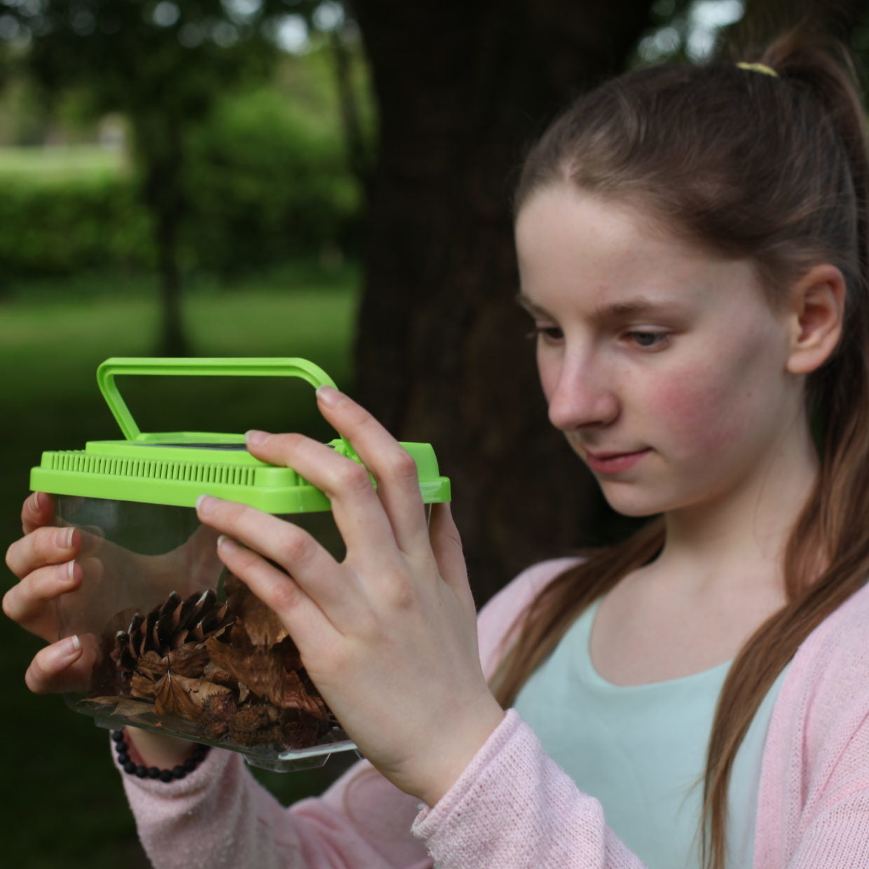 Insecten studiedoos in handen, groene behuizing met doorzichtig deksel