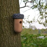 Houten eikel nestkastje met donker textuur dak en ronde invliegopening aan boom