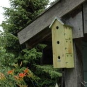 Houten vogelhuisje met grijze dakrand en ronde openingen, bevestigd aan paal