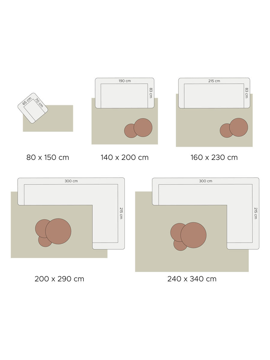 Vloerkleed-maatdiagram met 160 x 230 cm en bruine kleurvlakjes