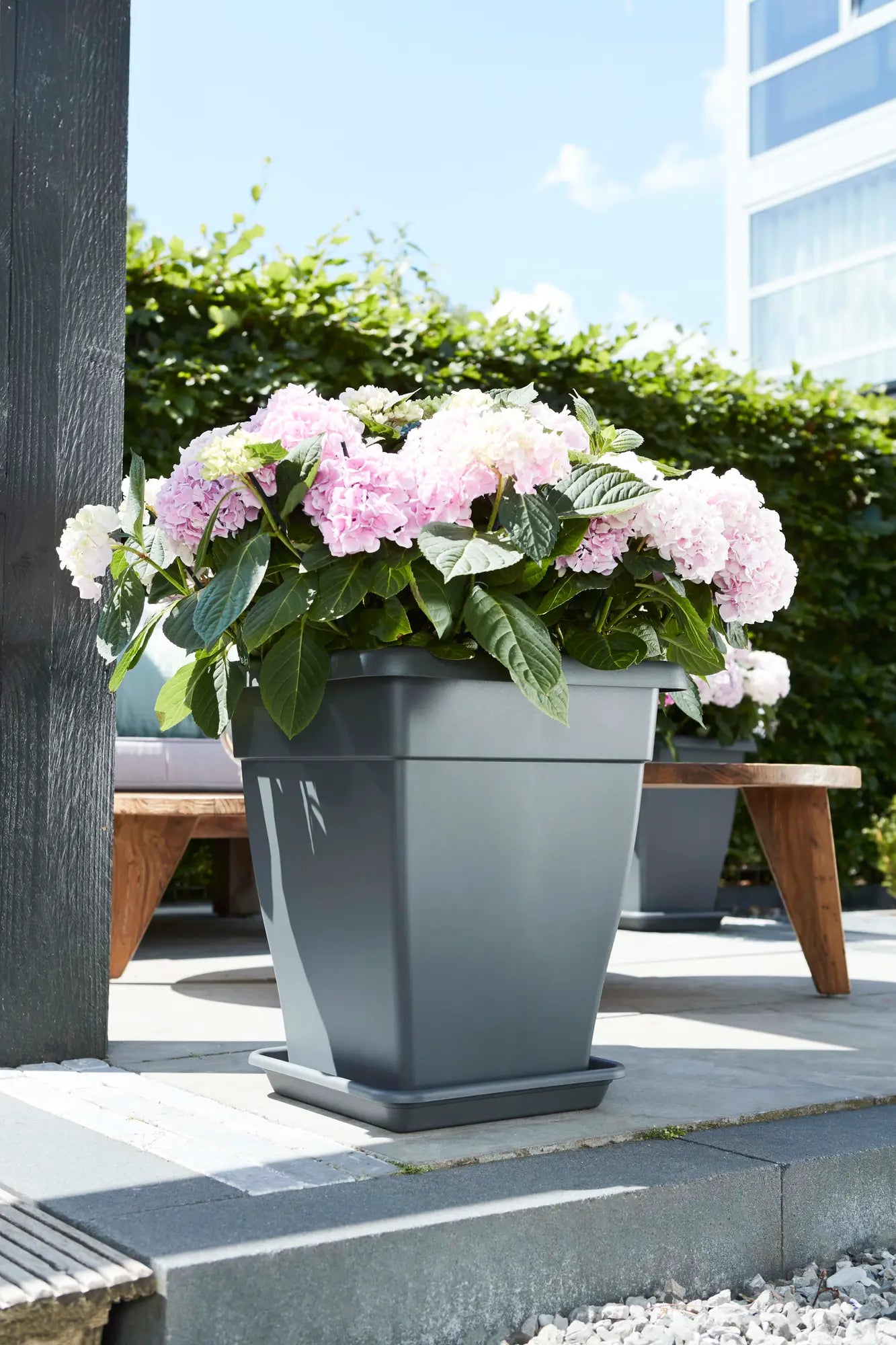 Elho - Schotel vierkant Antraciet | 25