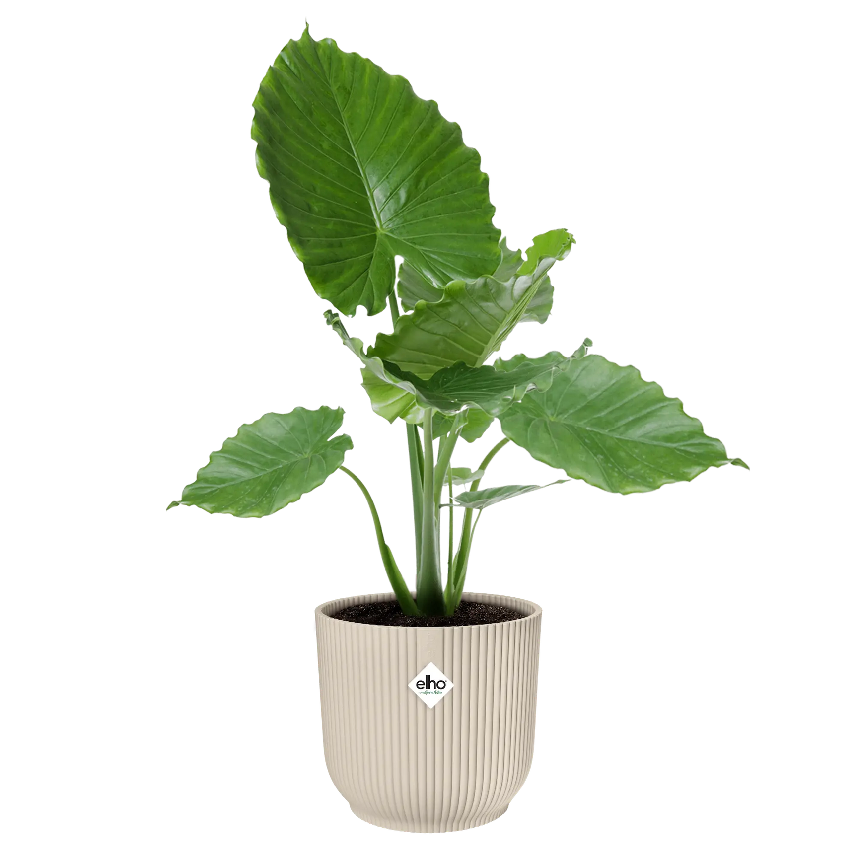 Elho - vibes fold rond 30cm linnen wit