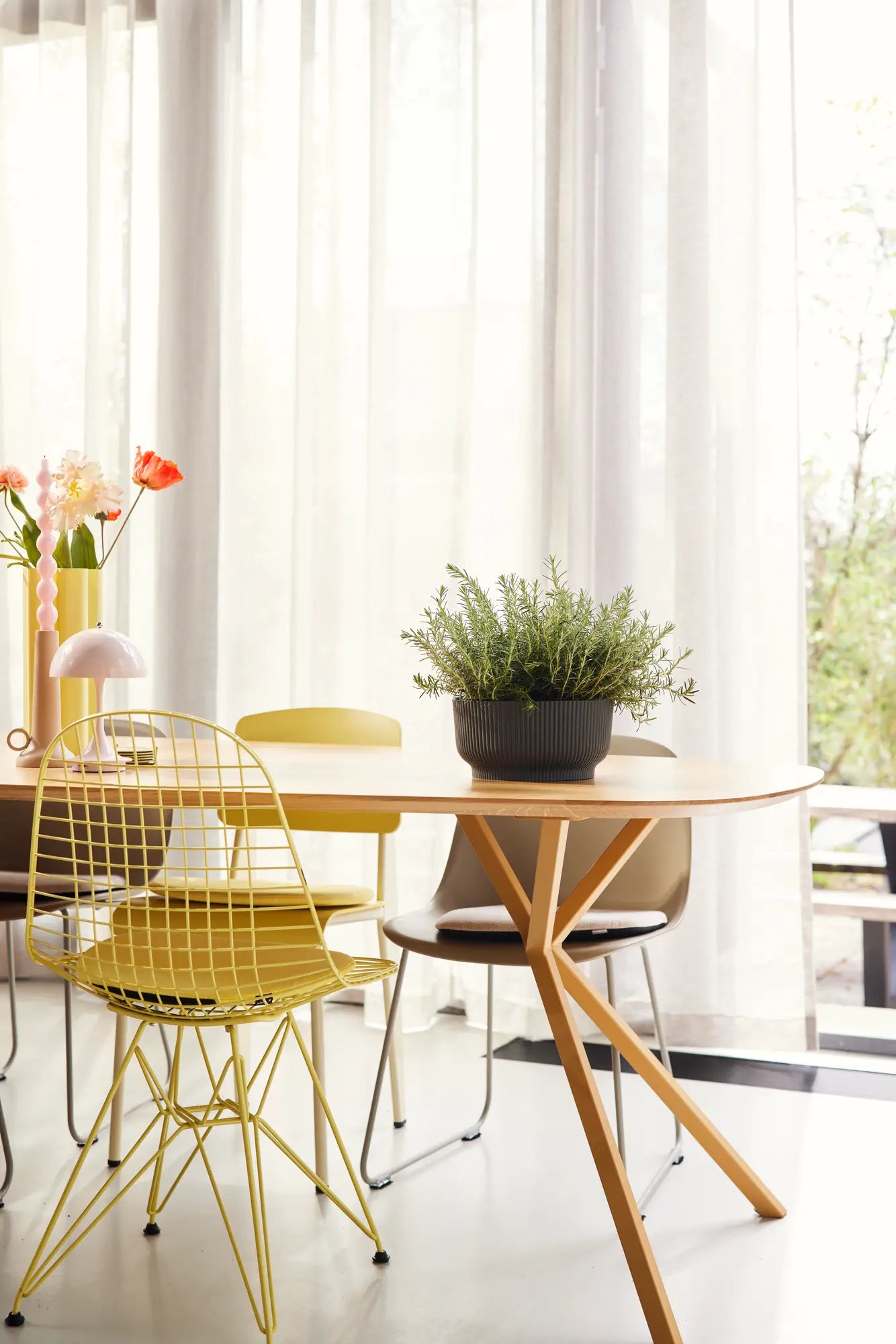 Antraciet opvouwbare Elho vibes schaal op tafel met kleine plant
