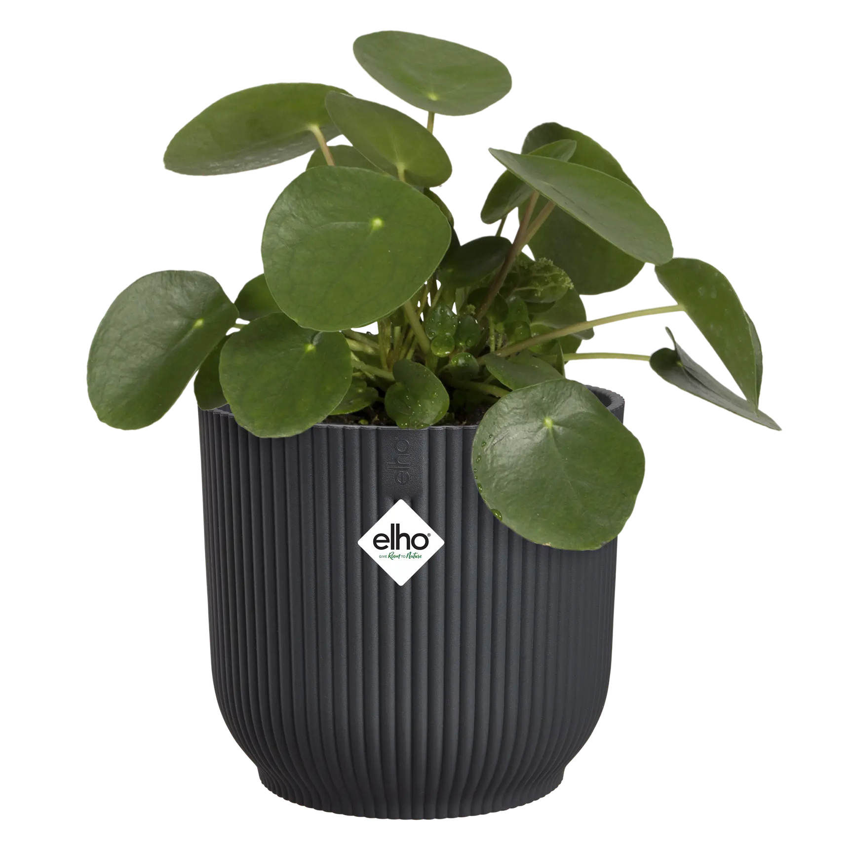 Elho ronde opvouwbare bloempot 14 cm in antraciet met groene kamerplantbladeren