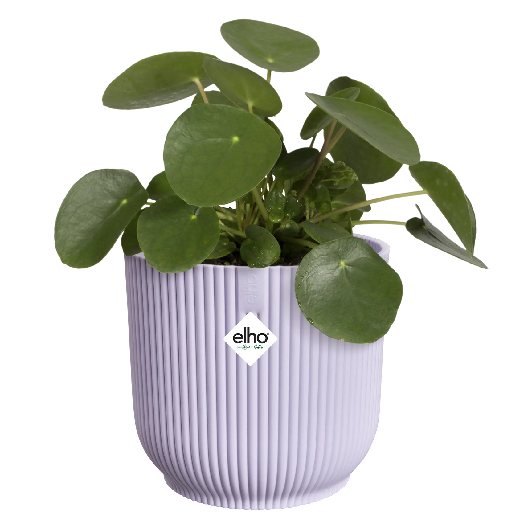 Zachte lila plantenpot met geribbelde wanden en groene bladeren, elho-logo zichtbaar