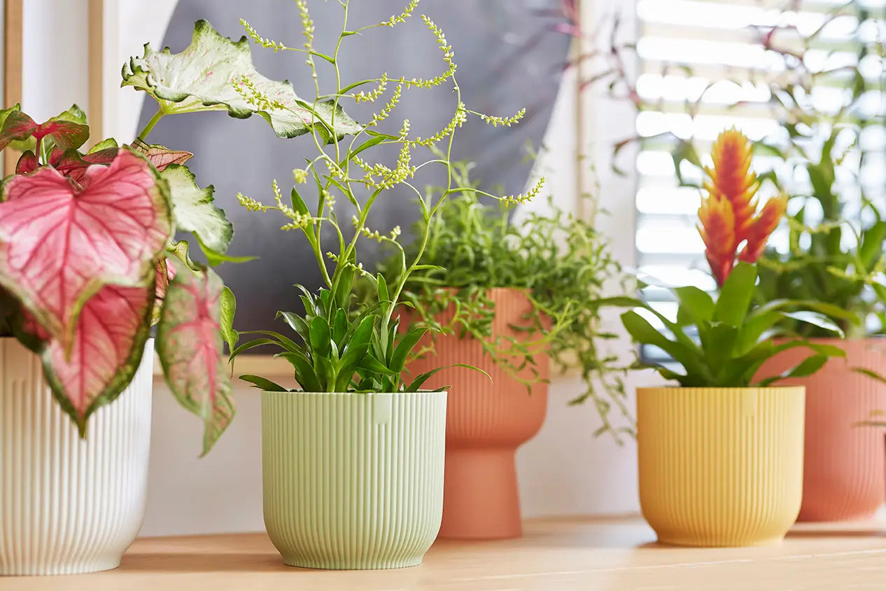Groene Elho Vibes fold mini bloempot met plant, geribbeld sorbetgroen