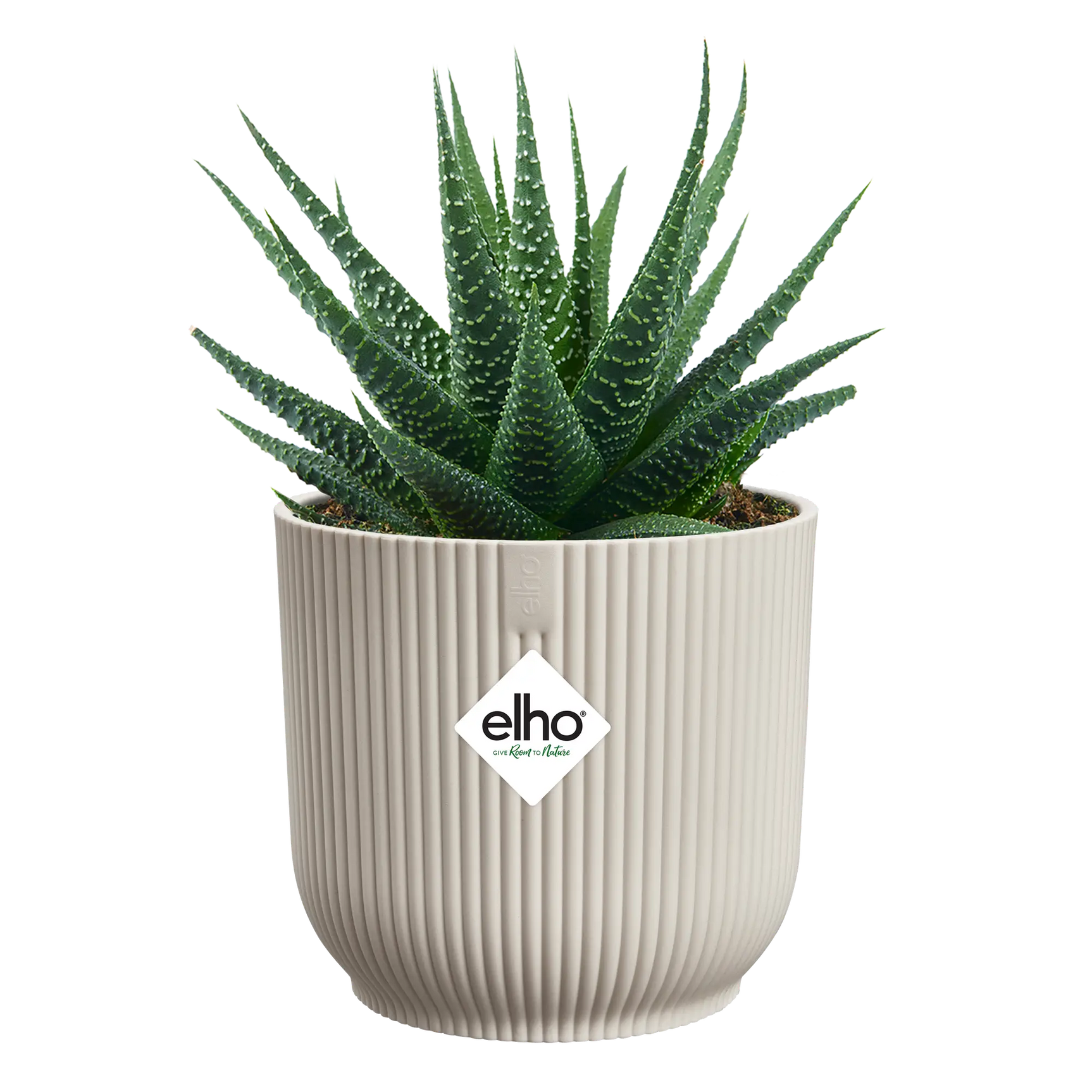 Witte Elho ronde plantenpot met groene vetplant en elho-logo
