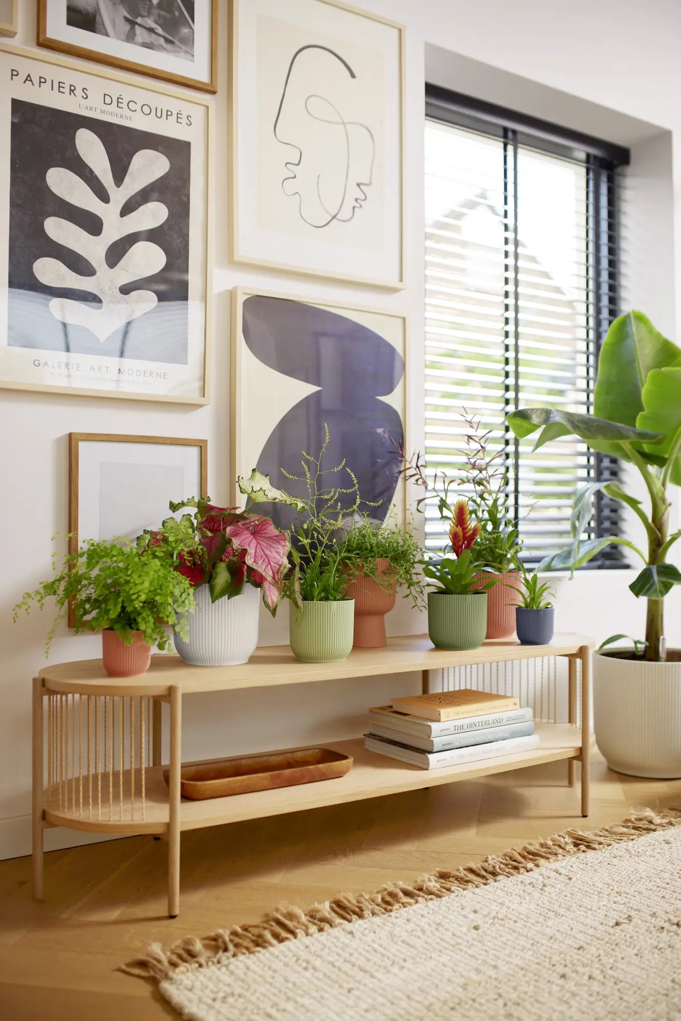 Roze ronde plantenpotten op houten plank