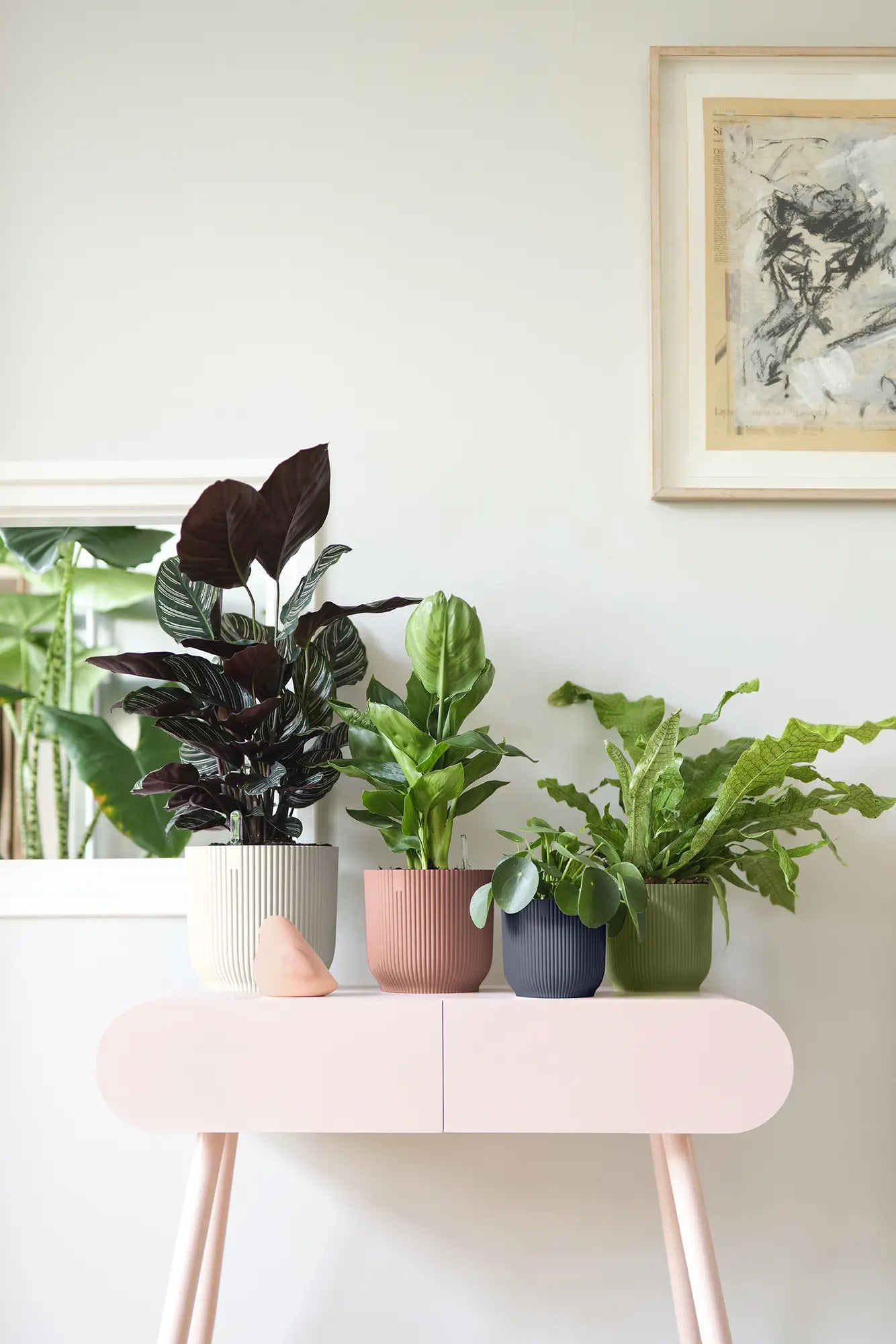 Antraciete ronde geribbeld plantenpot met groene bladeren op plank