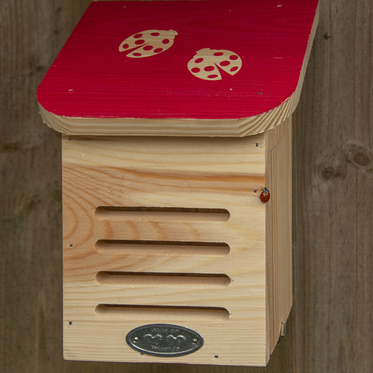 Houten lieveheersbeestjeshuis met rood dak, openingen en metalen plaat.
