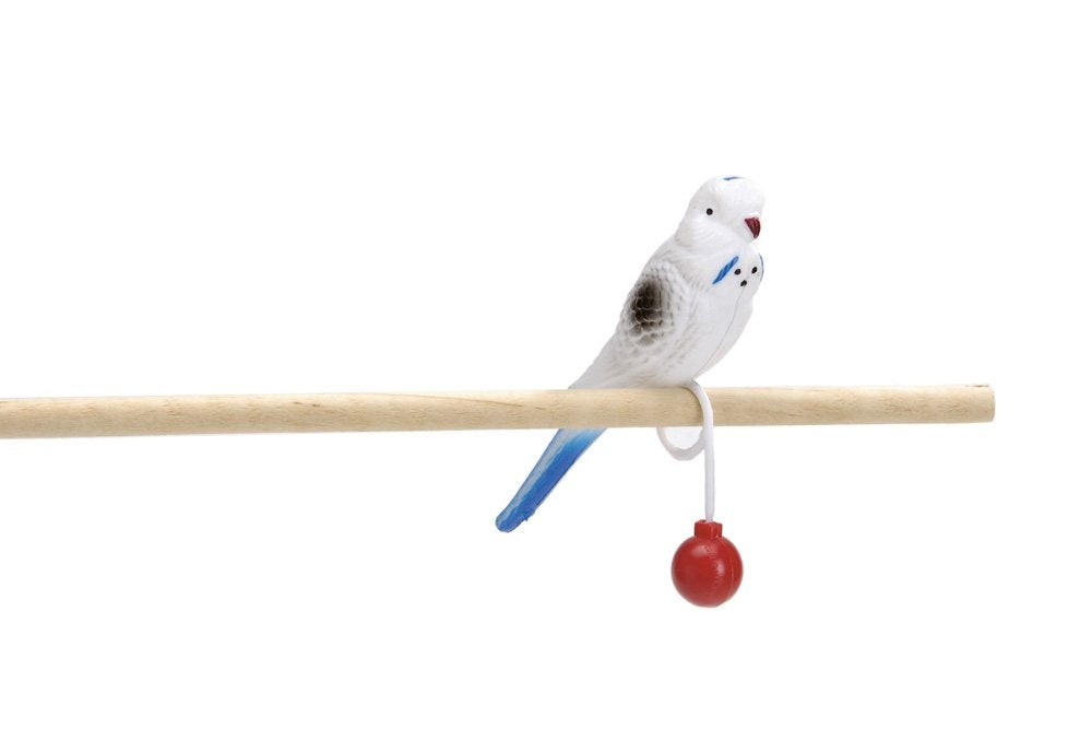Knuffelvogel met blauwe pootjes en rode bal, bevestigd aan een houten stok
