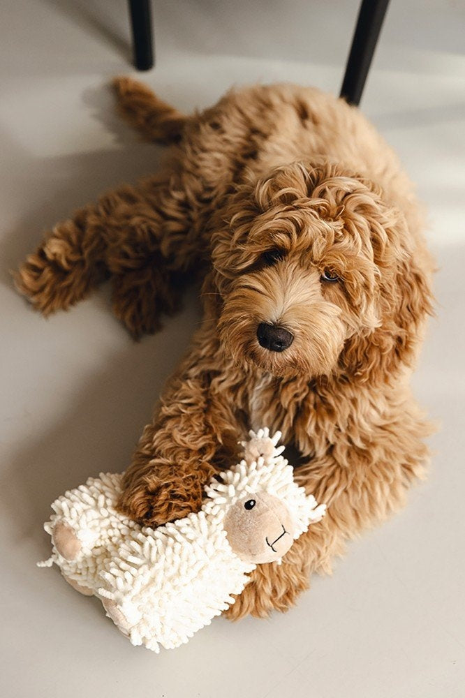 Beeztees - Eco Fl Schaapje Jovi Bge 20cm