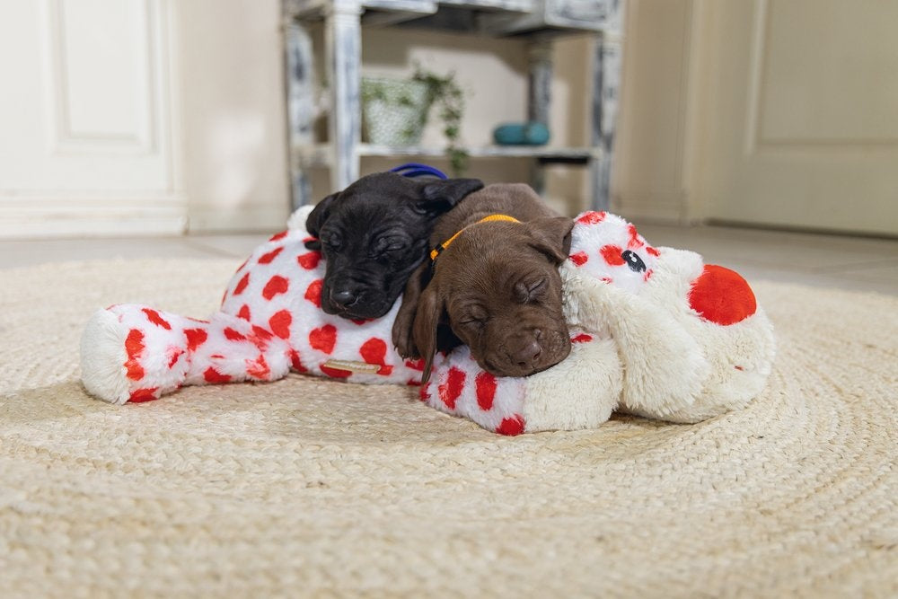 Beeztees - Xl-Knuffel Suki Wit 45cm