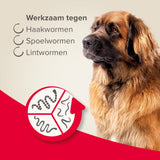 Beaphar wormtabletten voor honden, werkzaam tegen haakwormen, spoelwormen en lintwormen
