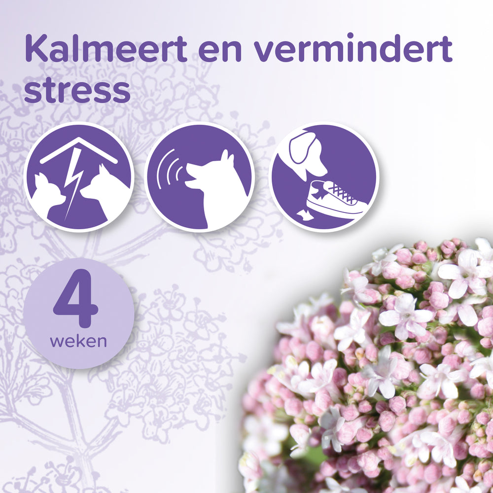 Informatiepanelen: hondiconen en 4 weken, met tekst "Kalmeert en vermindert stress"
