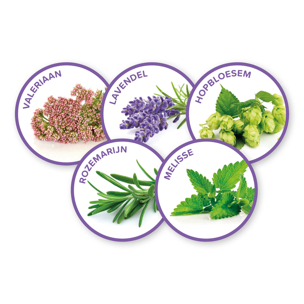 Kruiden in ronde labels: lavendel, hopbellen, rozemarijn en melisse