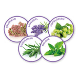 Kruiden in ronde labels: lavendel, hopbellen, rozemarijn en melisse