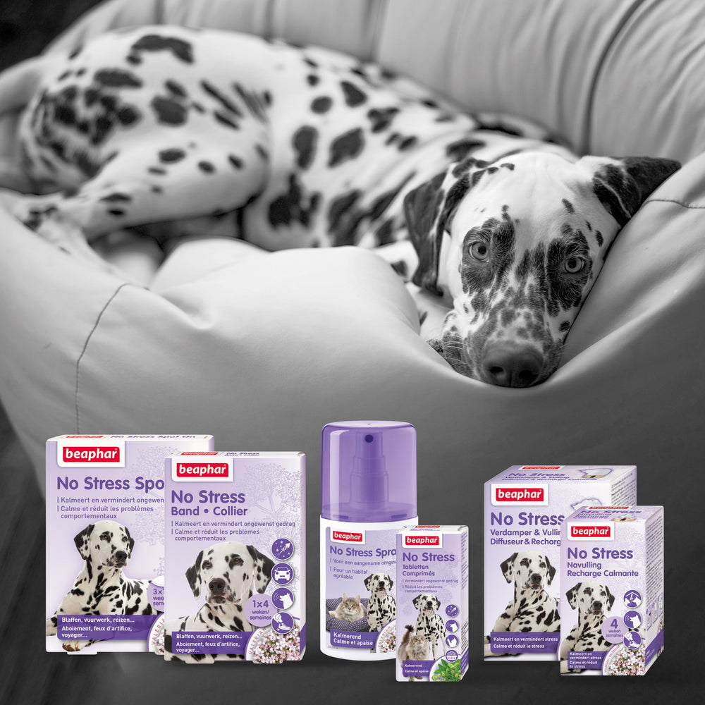 Dalmatierhond naast Beaphar No Stress verdamper en vullingen