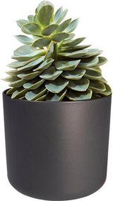 Elho - B. For Soft Round Anthracite 25cm