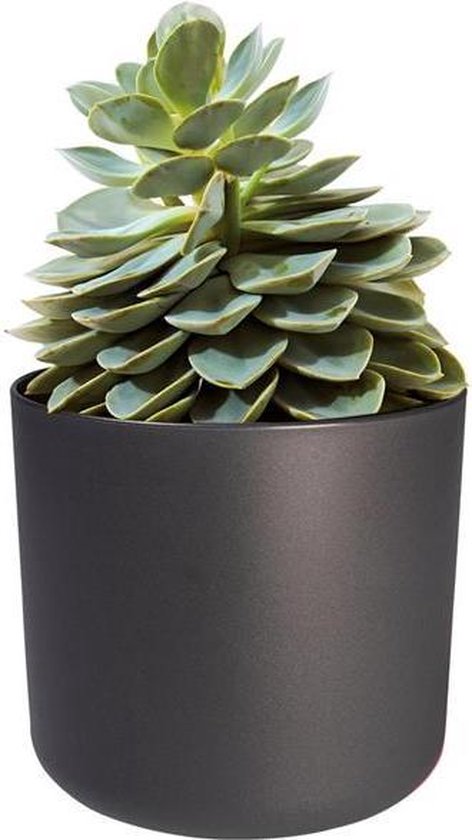 Elho - B. For Soft Round Anthracite 25cm