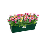 Elho - Green Basics Balkonbak 60 Groen
