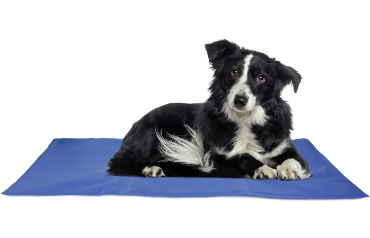 Blauwe rechthoekige koelmat met hond erop