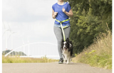 Flamingo Heupriem met Jogginglijn - S