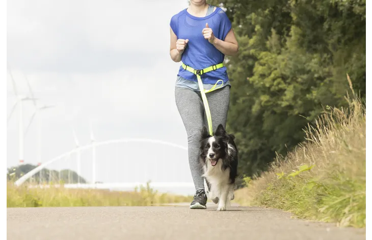Flamingo Heupriem met Jogginglijn - S
