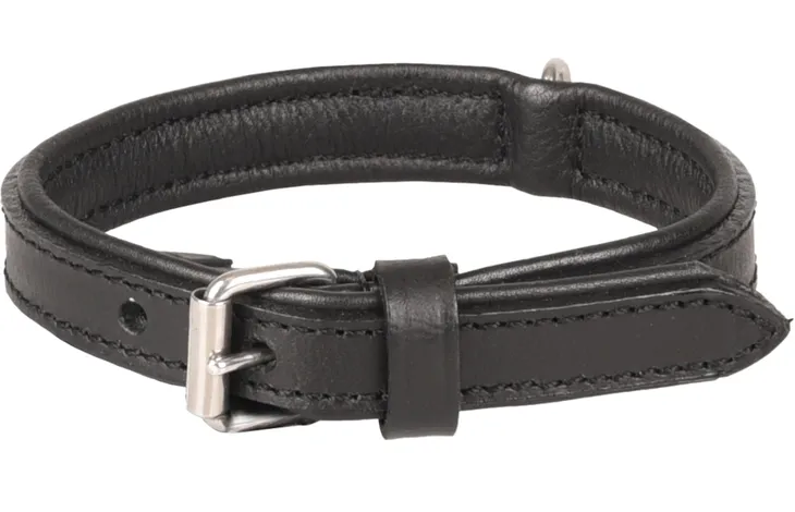 Gevoerde zwarte halsband met metalen gesp en D-ring, breedte 18 mm