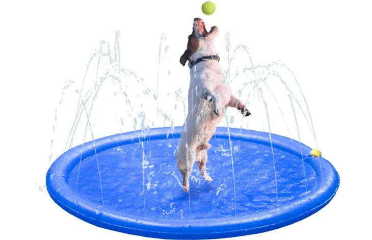 Ronde sprinkelmat in blauw met een hond die erover springt, met waterdruppels