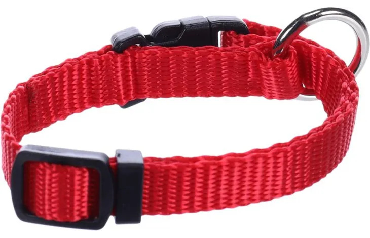Rode halsband met zwart verstelgesp en metalen D-ring, detail van sluiting.