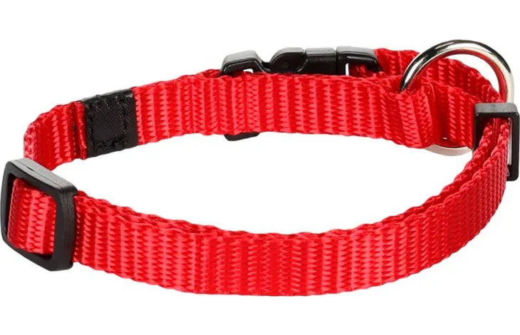 Rode nylon halsband met zwarte klikgesp en bevestigingsringen