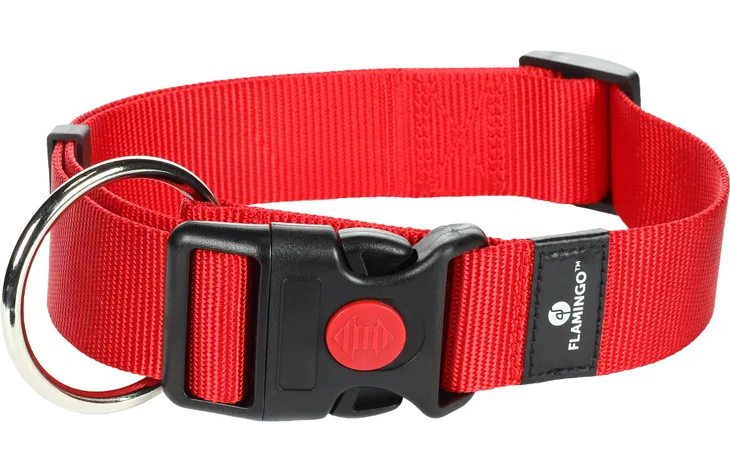 Rood hondenhalsband met zwarte gesp en metalen ring