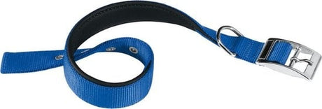 Ferplast hondenhalsband Daytona met blauwe nylon band en zilveren metalen gesp